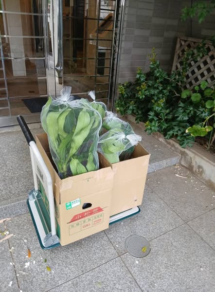 495135850 2501769936822949 170452791074430832 n - 元麻布 御庭番 ０７０５０５