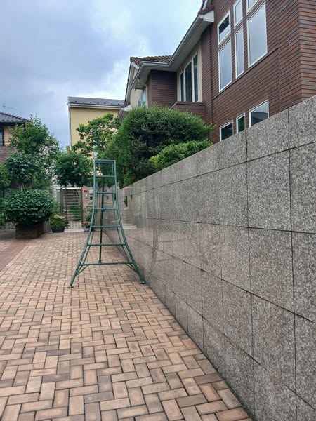 503919192 2537664666566809 2831077754078472839 n - 田園調布 御庭番 ０７０６１３