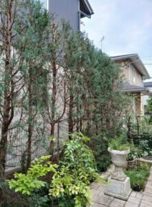 506462386 2540349606298315 5250235794485124814 n 221x300 - 506462386_2540349606298315_5250235794485124814_n