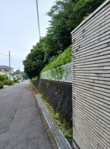 513989103 2554193231580619 2539448748599628955 n 221x300 - 513989103_2554193231580619_2539448748599628955_n