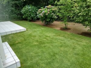 514252059 2556839481315994 2507002531273614561 n 300x225 - 514252059_2556839481315994_2507002531273614561_n