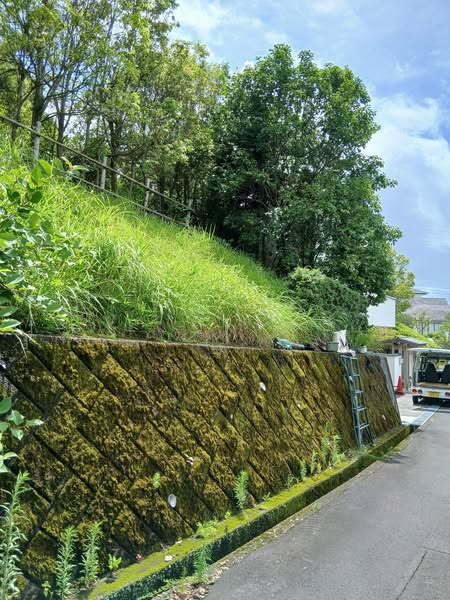514285515 2567496666916942 7125807471252132085 n - 駿東郡長泉町 御庭番3日目 ０７０７１７