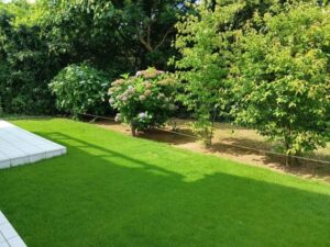 514768132 2556839427982666 5777380247648102051 n 300x225 - 514768132_2556839427982666_5777380247648102051_n