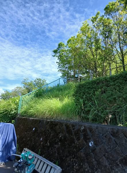 518340543 2561316020868340 5133389133372779522 n - 駿東郡長泉町 御庭番2日目 ０７０７１１