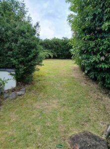 519906881 2567496156916993 8162970941354803378 n 221x300 - 519906881_2567496156916993_8162970941354803378_n