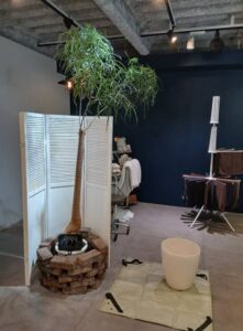 524700266 2577841109215831 4290375531064917707 n 221x300 - 524700266_2577841109215831_4290375531064917707_n