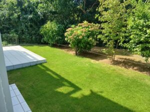 525979249 2582357105430898 8680236824147496651 n 300x225 - 525979249_2582357105430898_8680236824147496651_n