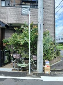 530242743 2589762261357049 5972935333060490364 n 221x300 - 530242743_2589762261357049_5972935333060490364_n