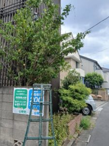 539044505 2605744306425511 3235761847293119298 n 225x300 - 539044505_2605744306425511_3235761847293119298_n