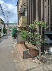 539627963 2605744219758853 1999625854197322639 n 221x300 - 539627963_2605744219758853_1999625854197322639_n