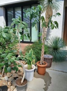 540692356 2613680535631888 1154883582415836906 n 221x300 - 540692356_2613680535631888_1154883582415836906_n