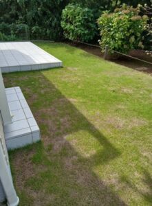 545530514 2614611162205492 7807638620155073260 n 221x300 - 545530514_2614611162205492_7807638620155073260_n