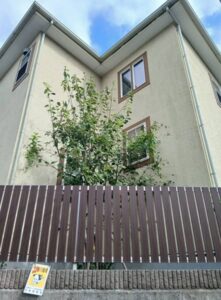 545571559 2618198381846770 3826771583278344804 n 221x300 - 545571559_2618198381846770_3826771583278344804_n