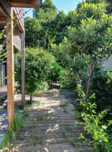 549778879 2628730387460236 343679396661593816 n 221x300 - 549778879_2628730387460236_343679396661593816_n