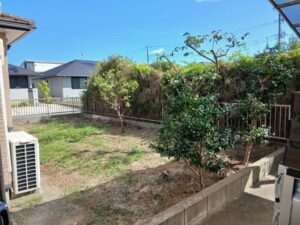 550891441 2630537330612875 3313241002807954708 n 1 300x225 - 550891441_2630537330612875_3313241002807954708_n