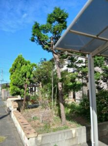 552828044 2629554560711152 4128053466452925085 n 1 221x300 - 552828044_2629554560711152_4128053466452925085_n