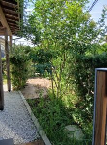 552920552 2628729467460328 6423498384688484886 n 221x300 - 552920552_2628729467460328_6423498384688484886_n