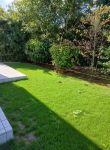 556809515 2641463532853588 1560589125668656572 n 221x300 - 556809515_2641463532853588_1560589125668656572_n