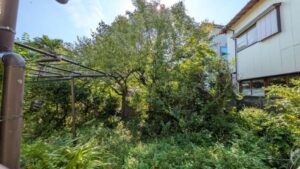 557344383 2640471066286168 6430614105496955376 n 300x169 - 557344383_2640471066286168_6430614105496955376_n