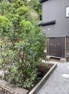 557990457 2641621846171090 2024934105113993085 n 221x300 - 557990457_2641621846171090_2024934105113993085_n