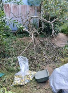 564525656 2653718174961457 8805613625226773381 n 221x300 - 564525656_2653718174961457_8805613625226773381_n