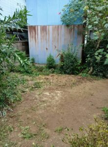 564593782 2653718214961453 7324108723289390186 n 221x300 - 564593782_2653718214961453_7324108723289390186_n