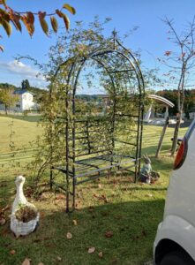 569210932 2659727034360571 2464943472915340851 n 221x300 - 569210932_2659727034360571_2464943472915340851_n