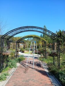 570669300 2659727397693868 4704539024953094161 n 225x300 - 570669300_2659727397693868_4704539024953094161_n