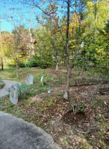 571114227 2663747250625216 5742200330889597836 n 221x300 - 571114227_2663747250625216_5742200330889597836_n