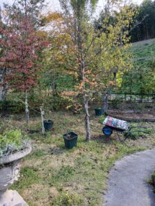 571143490 2663748297291778 4948221738588220130 n 225x300 - 571143490_2663748297291778_4948221738588220130_n