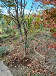 571425626 2663747313958543 3164276928994216536 n 221x300 - 571425626_2663747313958543_3164276928994216536_n