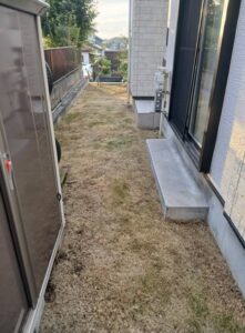 574930505 2669564333376841 8856697027473881088 n 221x300 - 574930505_2669564333376841_8856697027473881088_n