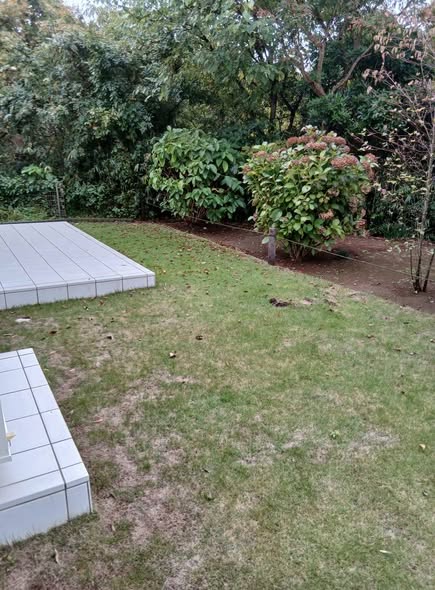 578289943 2676371566029451 1666469166429230651 n - 佐島の丘 御庭番 ０７１１０９