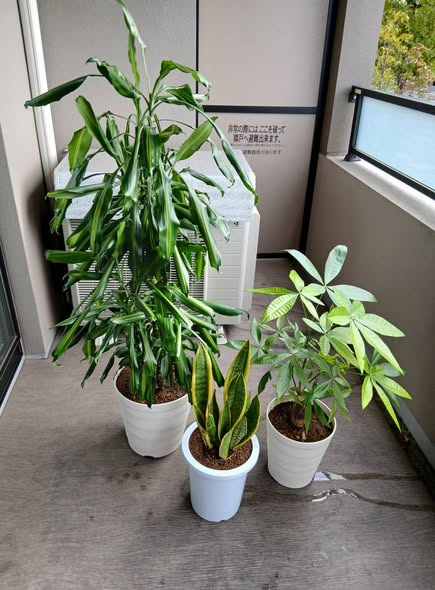 578781109 2675352582798016 6345435090142725136 n - 愛知 豊田 御庭番 ０７１１０８