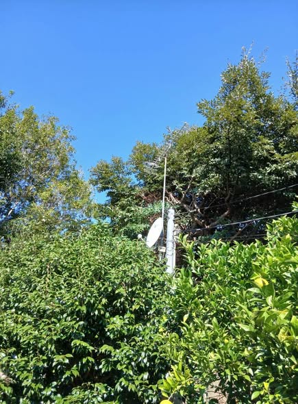 581449604 2683239058676035 6260623933120295868 n - 駿東郡長泉町 御庭番初日 ０７１１１６