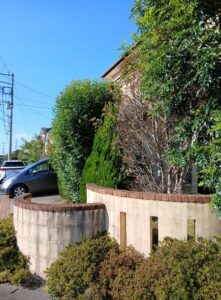 584996370 2686665461666728 431130053953411192 n 221x300 - 584996370_2686665461666728_431130053953411192_n