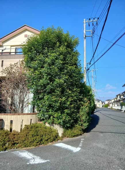 585622625 2686665515000056 3302809062138830420 n - 四街道 御庭番 ０７１１２０