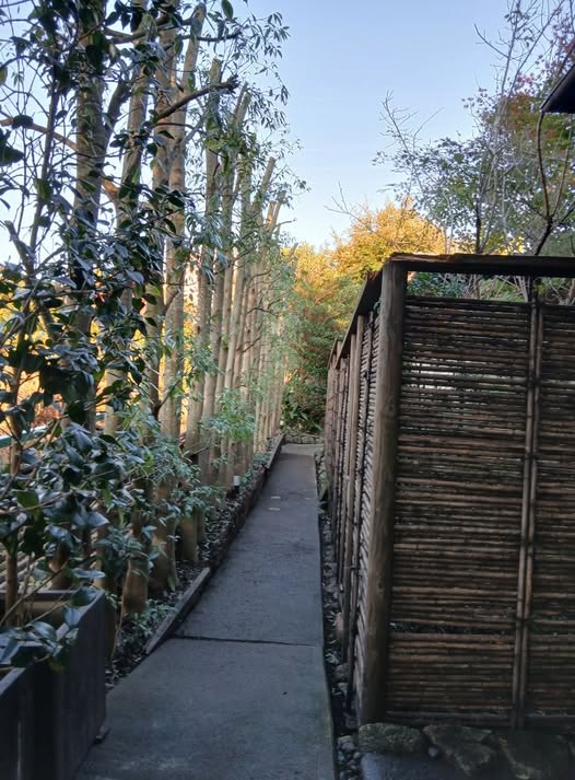 587323228 2693913674275240 5911241246512444960 n - 駿東郡長泉町 御庭番3日目 ０７１１２８