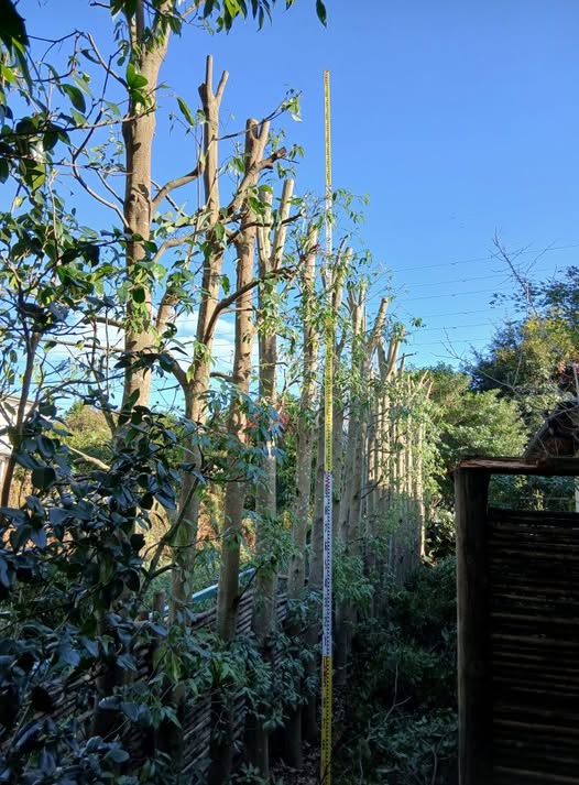 589825523 2692919147708026 8893771231380237661 n - 駿東郡長泉町 御庭番2日目 ０７１１２７