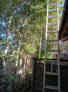 589960708 2692217174444890 2605611465777186053 n 221x300 - 589960708_2692217174444890_2605611465777186053_n