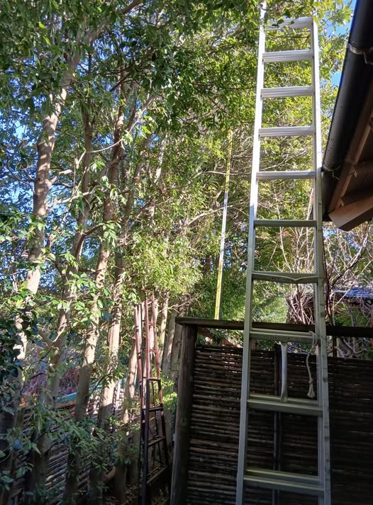 589960708 2692217174444890 2605611465777186053 n - 駿東郡長泉町 御庭番初日 ０７１１２６