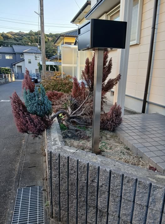 591236441 2695549447444996 1650368721281349588 n - 日立 御庭番 ０７１１３０