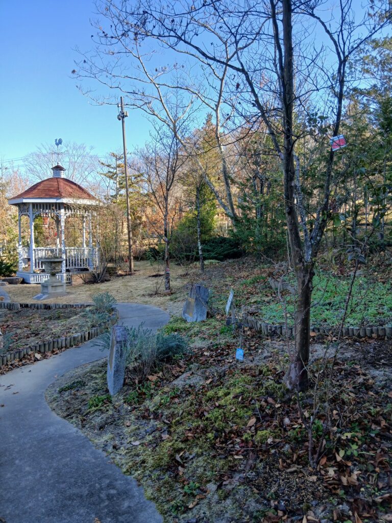 592090480 2695429290790345 6511315844696208563 n 768x1024 - 本宮 御庭番 ０７１１３０