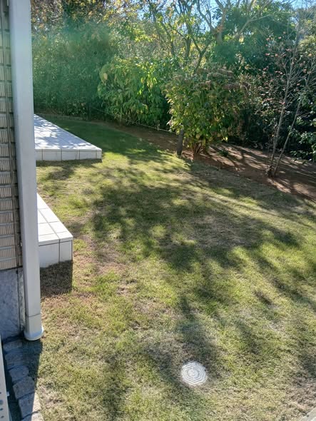 596057892 2701276880205586 4891991553345488126 n - 佐島の丘 御庭番 ０７１２０７