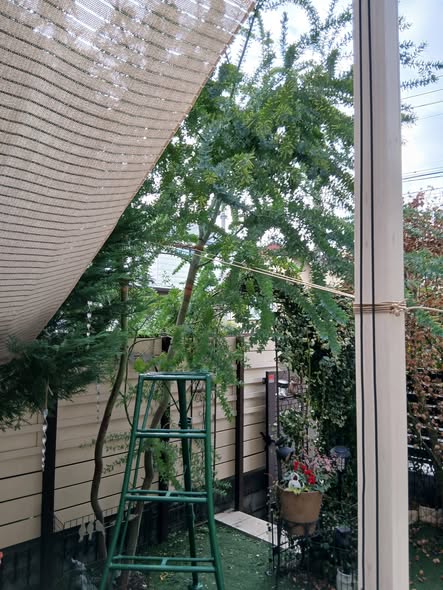 607198728 2718652085134732 2112926211634921801 n - 吉祥寺 御庭番 ０７１２２７