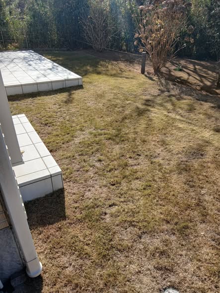 615041427 2736626013337339 2364735167916646897 n - 佐島の丘 御庭番 ０８０１１４