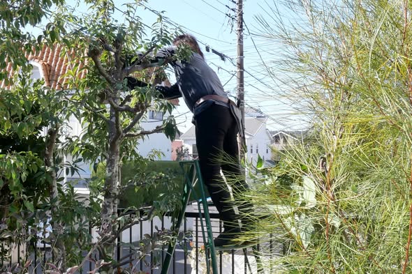 615295068 2636280780090195 538284718829459587 n - 七里ヶ浜 御庭番 ０８０１１４