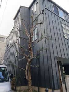 617874180 2743057176027556 7207674659155143138 n 225x300 - 617874180_2743057176027556_7207674659155143138_n