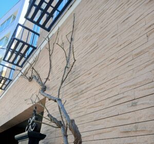 618469794 2742968102703130 3102903218976295293 n 300x282 - 618469794_2742968102703130_3102903218976295293_n