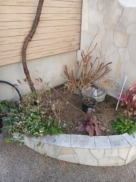 618535460 2742968169369790 3891873723292364657 n - 自由が丘 御庭番 ０８０１２４